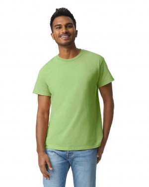 Kiwi Men's Gildan 2000 T-Shirts | KJXB39014