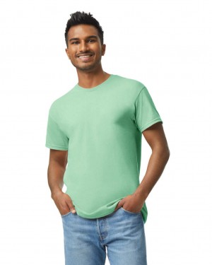 Mint Green Men's Gildan 5000 T-Shirts | FIWD08427