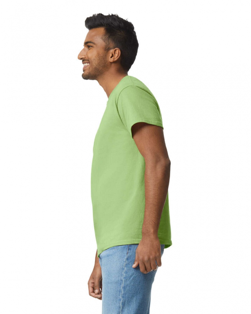 Kiwi Men's Gildan 2000 T-Shirts | KJXB39014