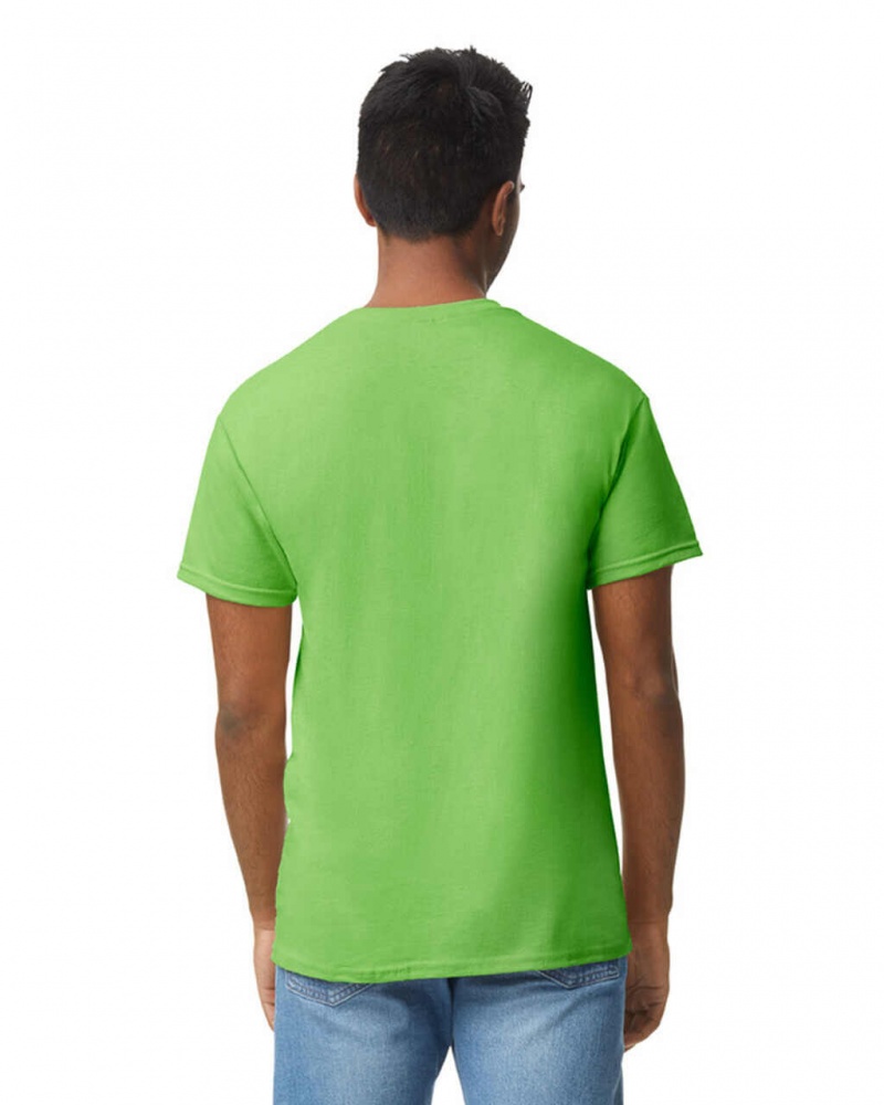 Lime Men's Gildan 5000 T-Shirts | HVDE62971